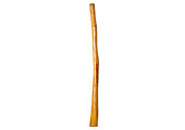Gloss Finish Flared Didgeridoo (TW1425)